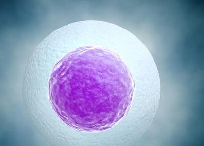 内膜薄会影响试管婴儿成功率吗？医生在线解答改善方法