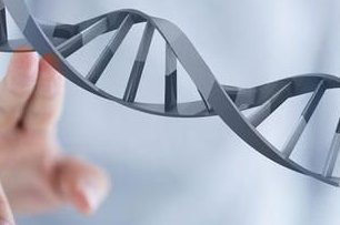 2026年在深圳做第三代试管大概费用多少？