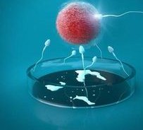 洛阳试管费用大揭秘，全面解析，助你预算无忧