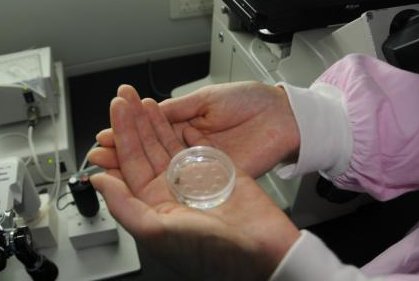 珠海私人助孕电话有哪些？这份联系方式表超详细！